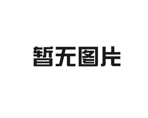 河南比澤爾半封閉活塞式二並聯壓縮機組